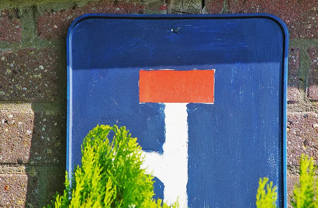 A finite horizon also leads to a new path. For a horizon knows no signposts (conceptual fiction).